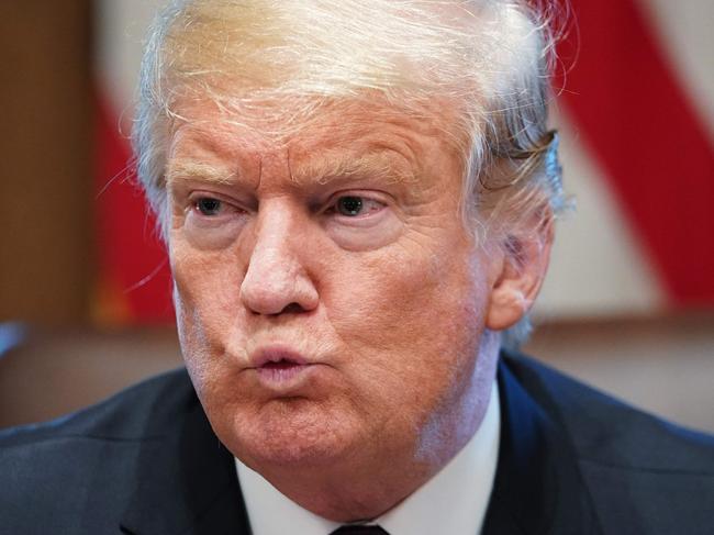 US President Donald Trump speaks during a roundtable meeting with conservative leaders at the White House on January 23, 2019, to discuss the security and humanitarian crisis at the southern border. (Photo by MANDEL NGAN / AFP)