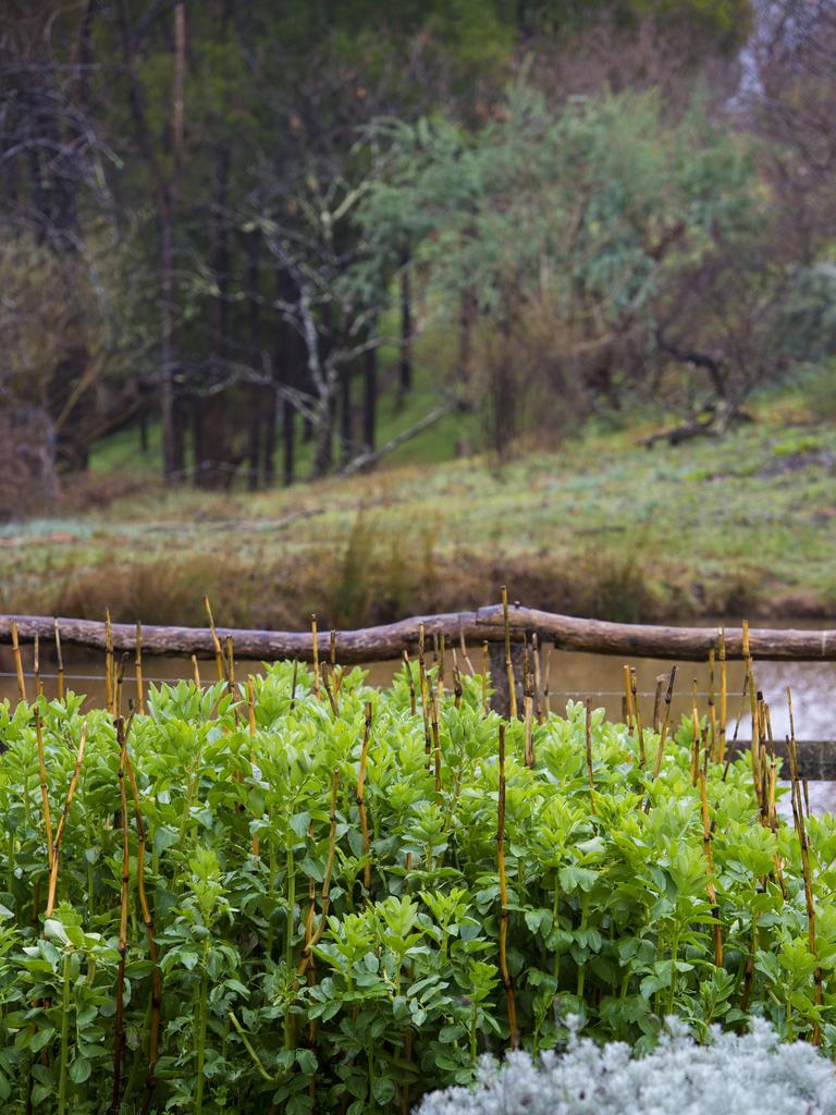 Milkwood has taught almost 10,000 people in its workshops and courses on permaculture subjects. Picture: Zoe Phillips