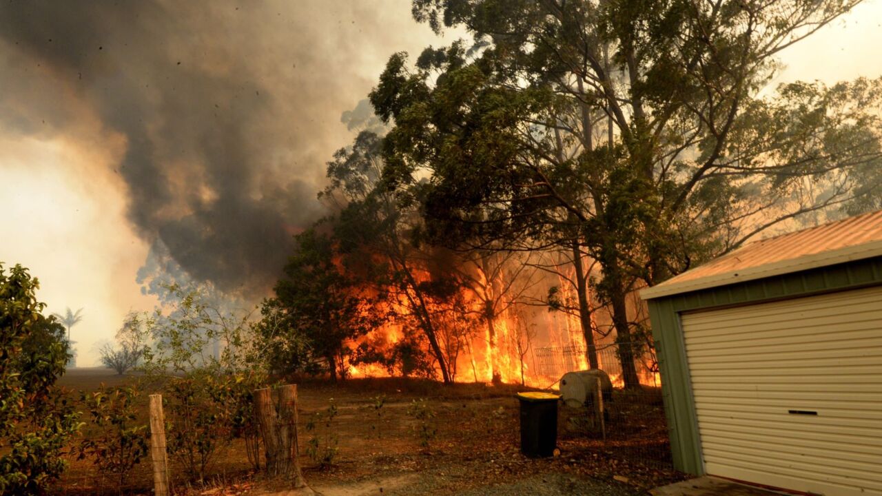 At least 55 bushfires burning across the state, with half 'uncontained'