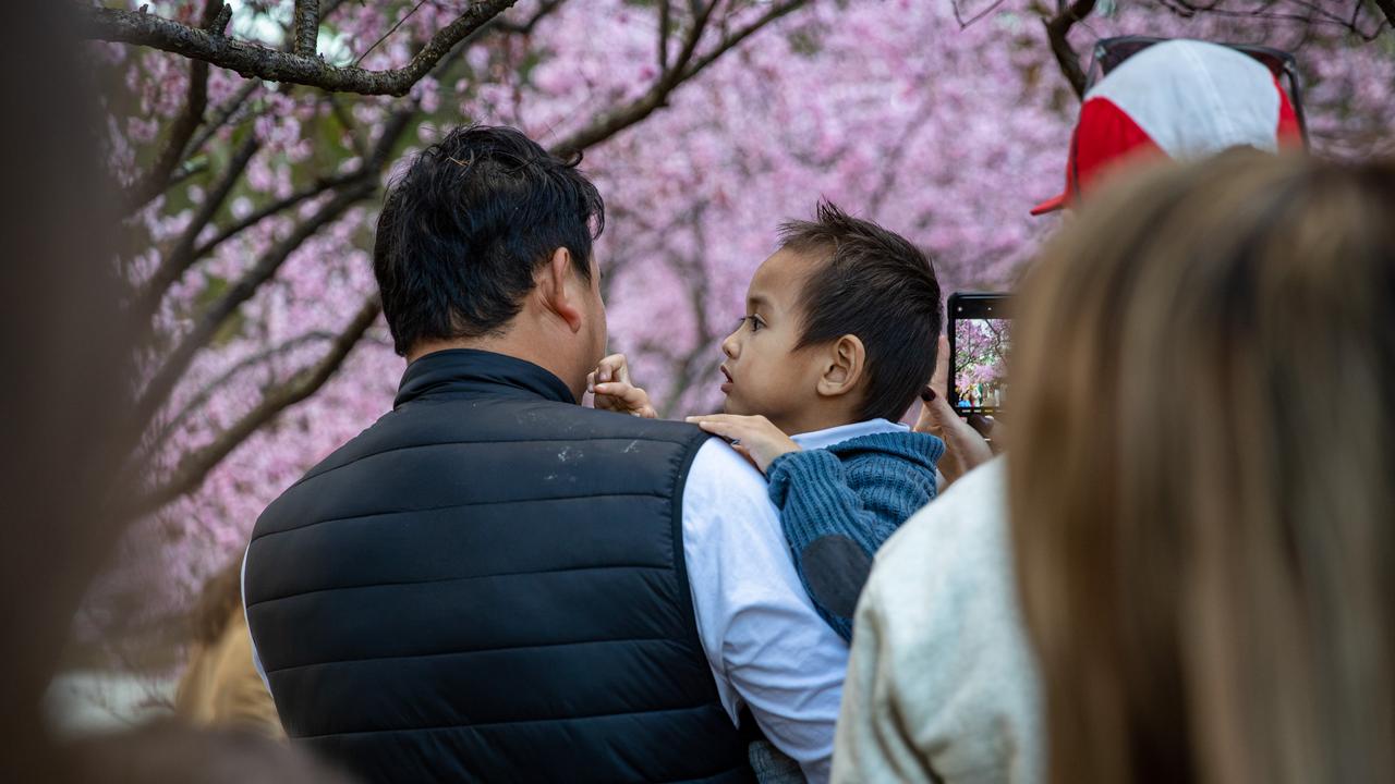 The festival attracts all ages. Picture: Christian Gilles