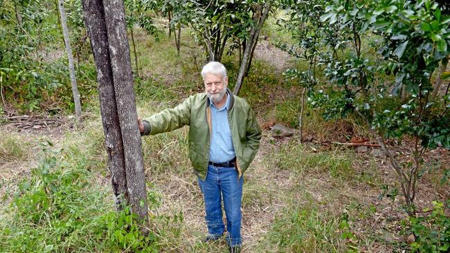 Mr Newby on the patch of council land off Frenchville Rd where he plants butterfly-friendly local species. Picture: Jann Houley