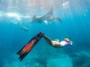 Australia's most popular Instagram posts of 2023