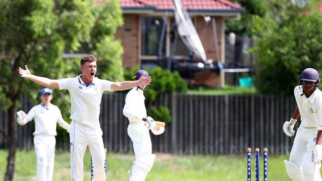 Action from the match between Brisbane State High School and Nudgee College. BSH's Kallum Russell appeals. Picture: Tertius Pickard