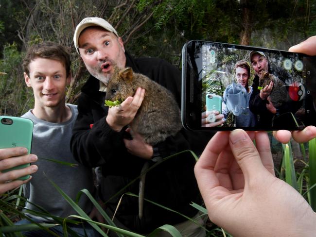 Pokemon GO at the Adelaide Zoo. Joshua Duff 23 from Mitchell Park with Adelaide Zoo's Manager of Nature Theatre with quokka 'Kinta'. Pic: Tricia Watkinson