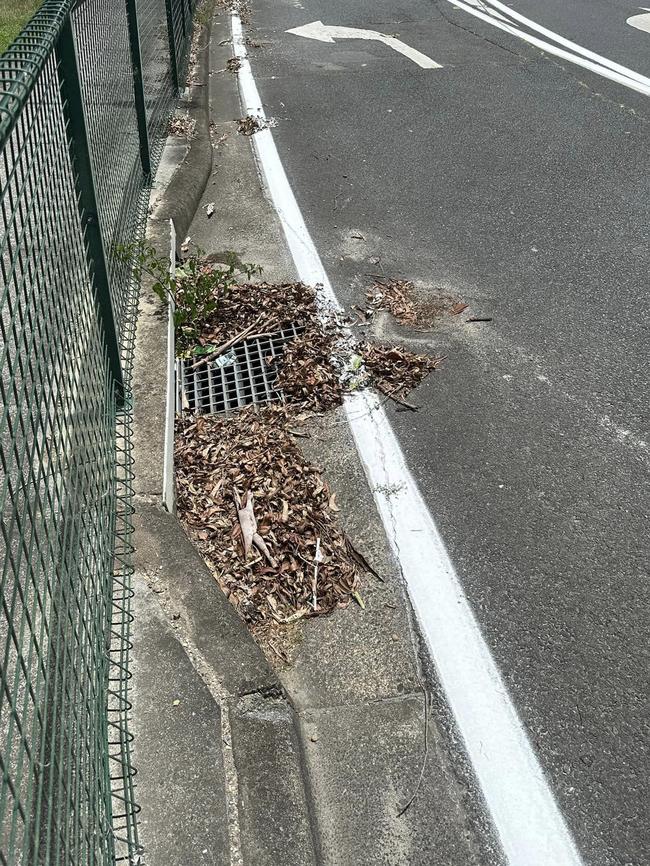 Line marking over leaves on the Gold Coast. Picture: Martin Webb