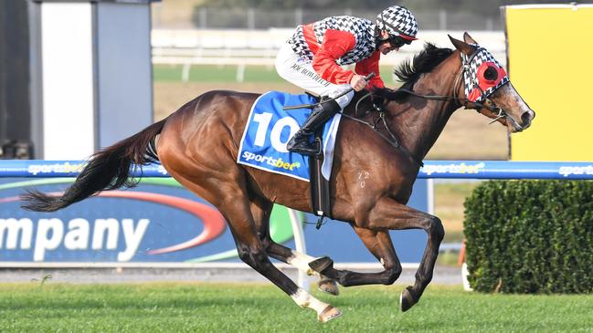 Diwali ridden by Joe Bowditch wins the Sportsbet Sandown Cup at Sportsbet Sandown Lakeside Racecourse on June 01, 2025 in Springvale, Australia. (Photo by Brett Holburt/Racing Photos via Getty Images)