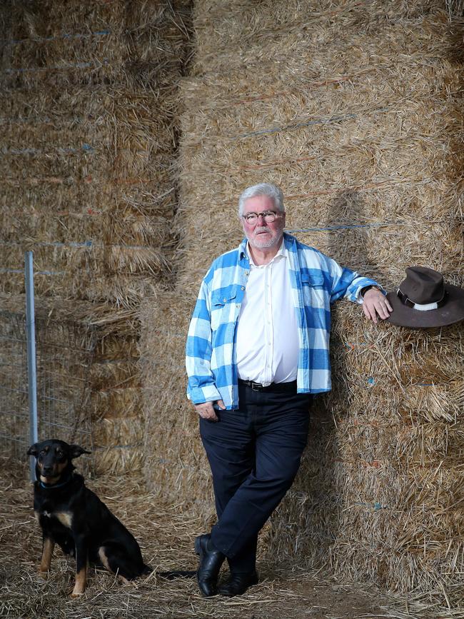 David Williams at his "Fairfield" farm just north of Melbourne. Picture: Yuri Kouzmin