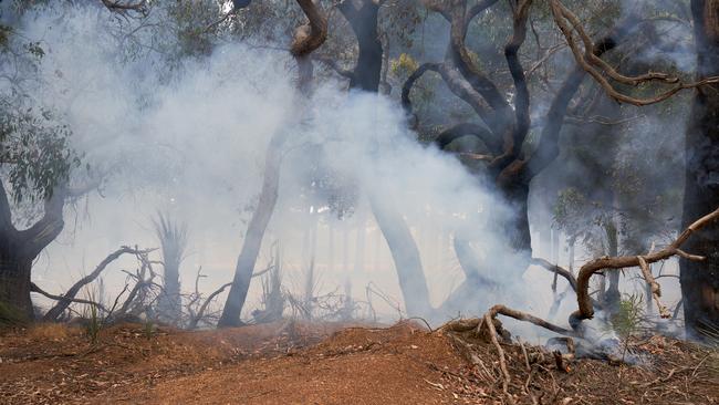 Burnt landscape in Kangaroo Island in January 2020. Picture: Matt Loxton