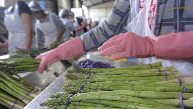 Inside the Vizzarri production plant.