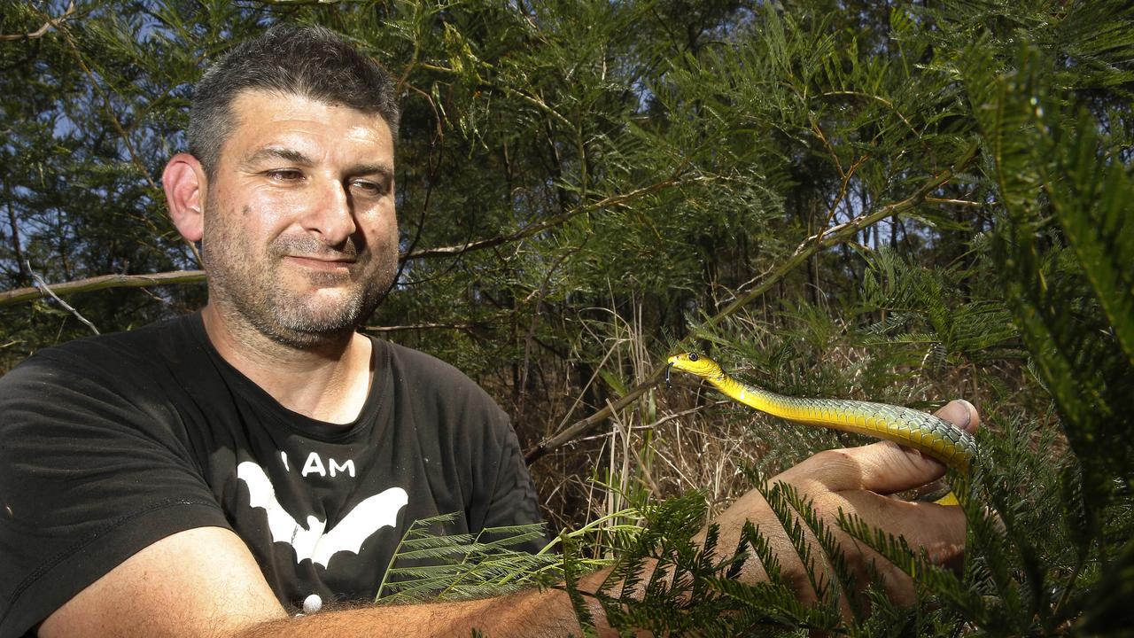 Snake-catching to boom during pandemic, St George & Sutherland Shire  Leader