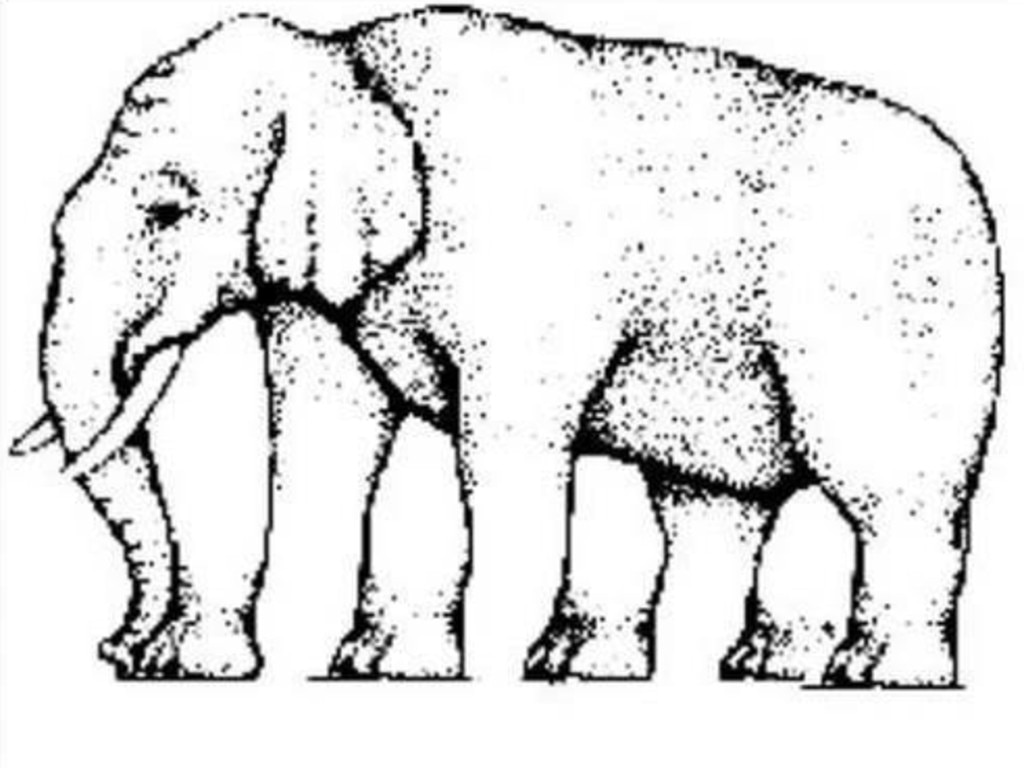 A famous optical illusion. How many legs does the elephant have? If you'd like to conquer the illusion, count the legs, rather than just looking at the picture.