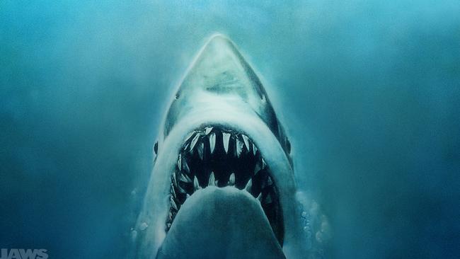 Jaws in the water screening: Craziest way to watch Spielberg classic ...