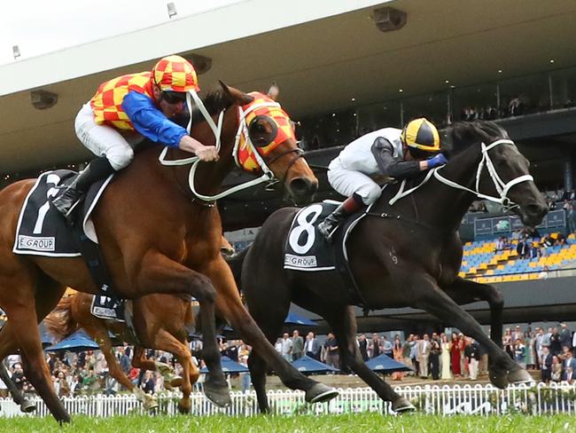 SYDNEY, AUSTRALIA - SEPTEMBER 28: James McDonald riding Firestorm  wins Race 4 E-Group Protective Services during "Golden Rose Day" Sydney Racing at Rosehill Gardens on September 28, 2024 in Sydney, Australia. (Photo by Jeremy Ng/Getty Images)