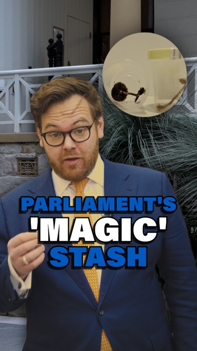 A 'magic' stash in state parliaments' garden