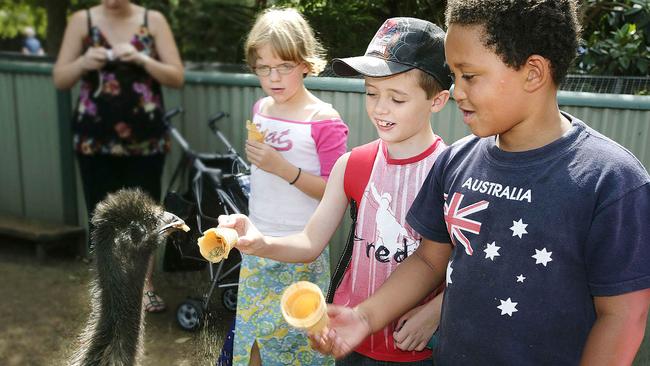 Children feed an emu on Australia Day, 2007. Picture: Isabella Lettini