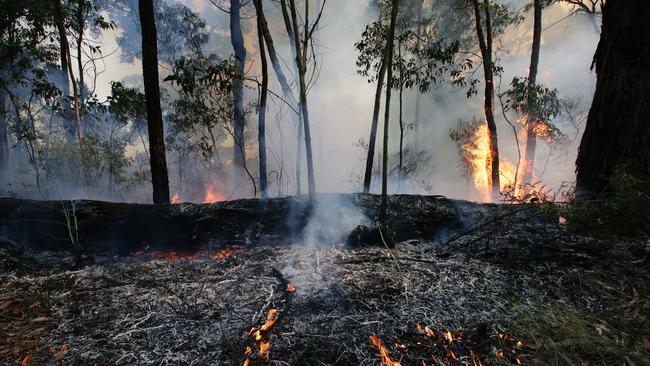 Planned burns have been banned in some Victorian areas. Picture: Peter Ristevski