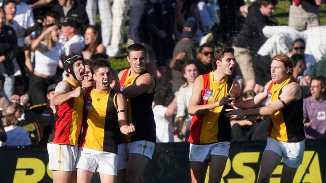 SFNL Division 1 grand final: Cranbourne v Cheltenham at RSEA Park. Cheltenham players celebrate a goal.  Picture: Valeriu Campan