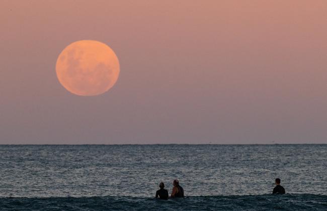 Surfers wait for a wave as the super blood moon rises above the horizon at Manly Beach. Picture: Cameron Spencer/Getty Images