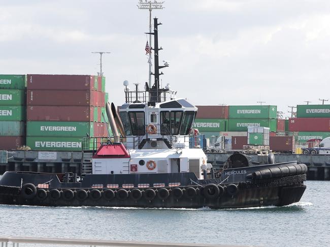 It’s the job Australian Border Force inspector and Operation Jardena supply chain liaison officer, Vanessa Ruff, to detect illegal contraband. Picture: Supplied