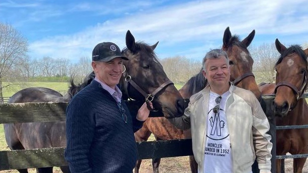 John Stewart will send an army of horses to Australia for the spring. Picture: Supplied