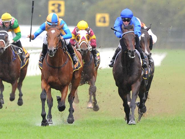 Imposing Lass is the $5 favourite for next month’s Group 1 Queensland Oaks after four wins in a row. Picture: Simon Bullard