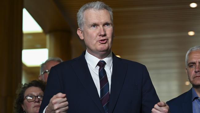 Employment Minister Tony Burke says he is proud that a council in his electorate is flying the Palestinian flag. Picture: NCA NewsWire / Martin Ollman