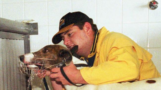 Greyhound trainer Bradley Keel has avoided an immediate suspension for punching a dog.