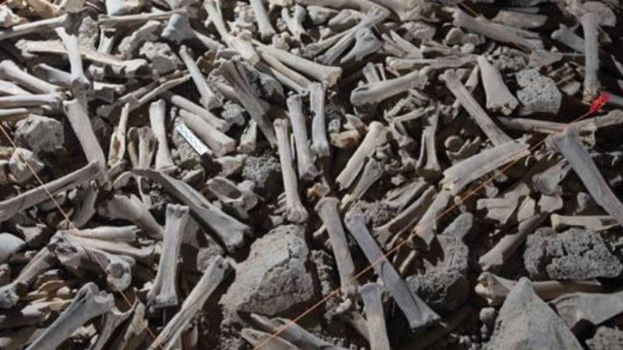 The bones were carried there over the course of several thousand years by hyenas.