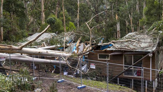 This home at 159 Monbulk-Emerald Rd was crushed by a tree that fell during the storm, Picture by Wayne Taylor 15th June 2021