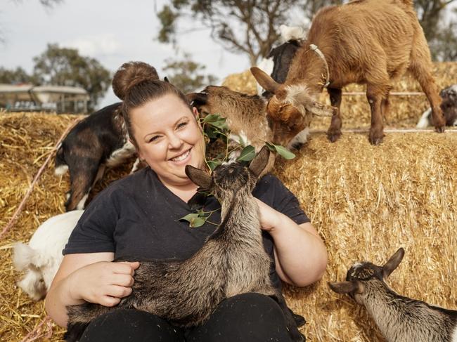 Dimboola farmer Beck Walker started Tiny Goats & Co, and now has 50 miniature goats. Picture: Rachel Simmonds