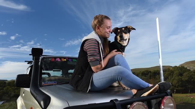 The Adelaide Hills News and dog rescue organisation Scruffer Lovers have helped find a new home for Scout, pictured with new owner Cassie Westerholm, after the Cudlee Creek fires. Picture: Naomi Jellicoe