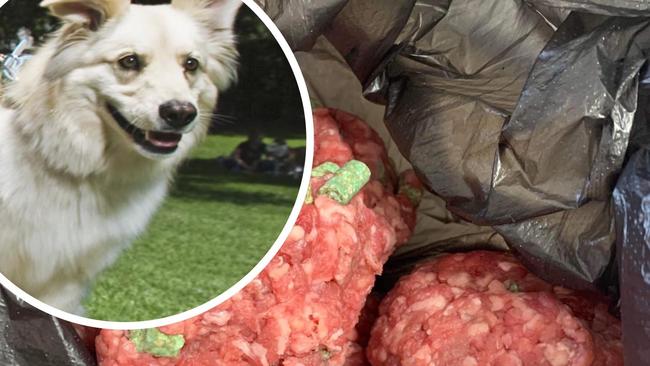 Poisoned meat intended for dogs have been left at parks in Maryborough.