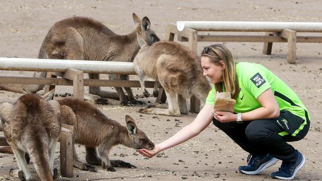 Anika Learoyd at Bonorong Wildlife Sanctuary.