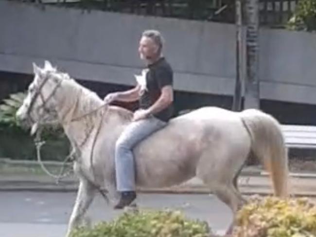 Stuntman charged for getting back on the protest horse