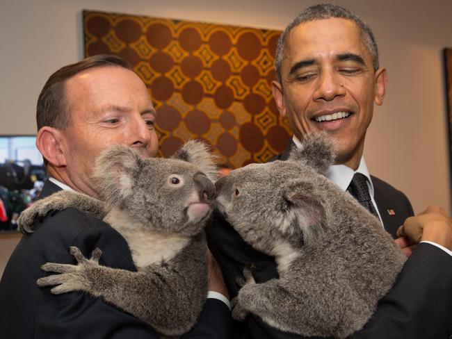 Our ex Prime MinisterTony Abbott and President Barack Obama meet Jimbelung the koala before the start of the first G20 meeting on November 15, 2014 in Brisbane, Australia. Picture: Andrew Taylor/G20 Australia via Getty Images