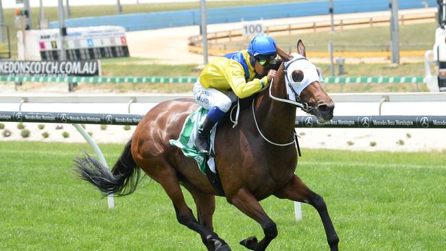 Safeeya winning at Cranbourne. Picture: Ross Holburt–Racing Photos via Getty Images