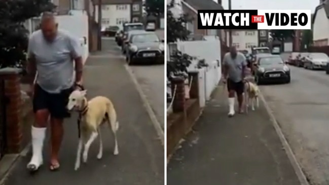 Owner finds out limping dog is faking it