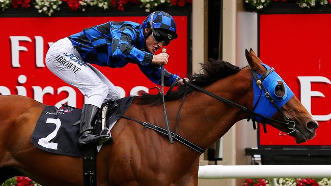 Damian Browne celebrates after his win last year on Buffering.