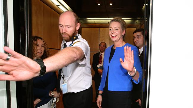 Deputy Nationals Leader Bridget McKenzie is a novice.