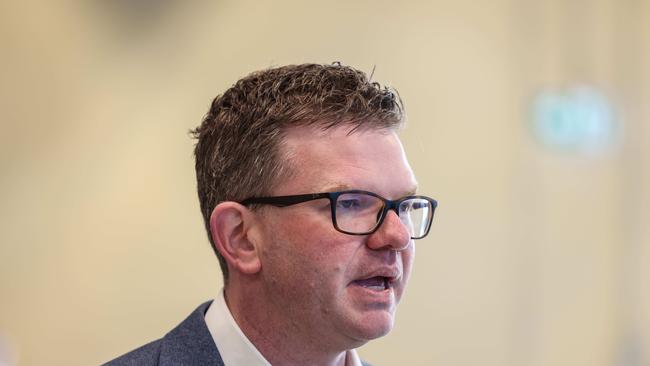 Health Minister Chris Picton said he was sorry to hear about Betsy Thredgold’s situation. Picture: Russell Millard Photography