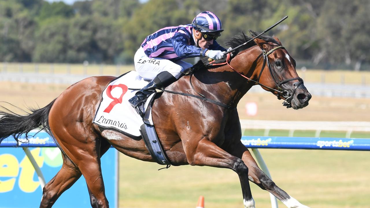 She's Bulletproof is a $5 second favourite for the Group 1 Oakleigh Plate at Caulfield. Picture: Brett Holburt/Racing Photos via Getty Images