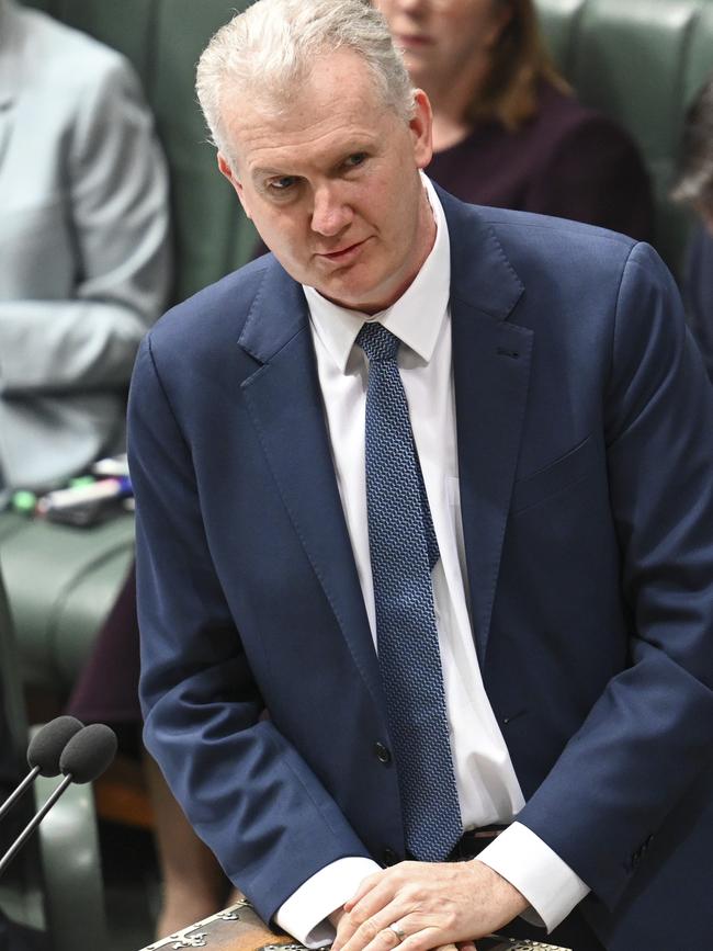 Home Affairs Minister Tony Burke. Picture: Martin Ollman