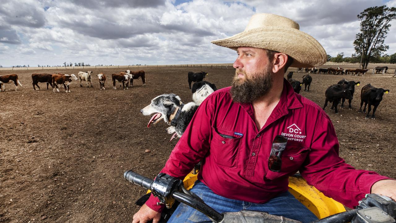 THIRD GENERATION: Cattle Farmer Tom Nixon with his dogs on Devon Court Stud on the Western Downs, is constantly looking at ways to diversify his farming practices, including potentially putting Wind Turbines on his property, to combat the ongoing troubles arising with Queensland's horrific drought. Pic: Lachie Millard