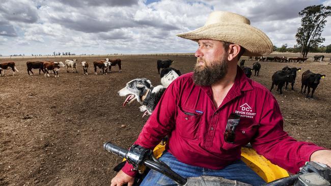 THIRD GENERATION: Cattle Farmer Tom Nixon with his dogs on Devon Court Stud on the Western Downs, is constantly looking at ways to diversify his farming practices, including potentially putting Wind Turbines on his property, to combat the ongoing troubles arising with Queensland's horrific drought. Pic: Lachie Millard