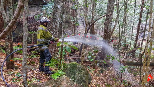 A firefighter douses one of the trees. Picture: AFP