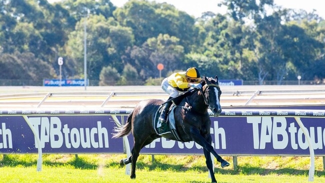 Bustling has been sold to east coast connections. Picture: Western Racepix