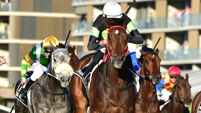 Think About It was a major reason for getting the Kingsford Smith Cup and Stradbroke Handicap in the world’s top 100 races. Picture: Grant Peters — Trackside Photography.