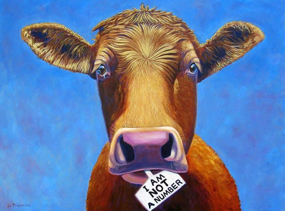 Artist focuses on an animal's rights | Daily Telegraph