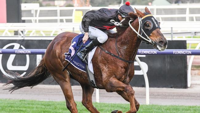 Mnementh is a leading contender in the Weetwood Handicap. Picture: Brett Holburt/Racing Photos via Getty Images