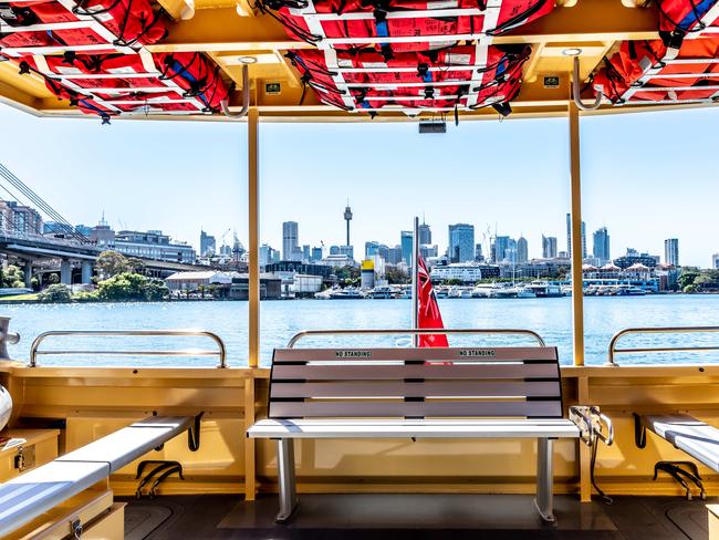 Looking over the city from Blackwattle Bay’s stop. Picture: Monique Harmer